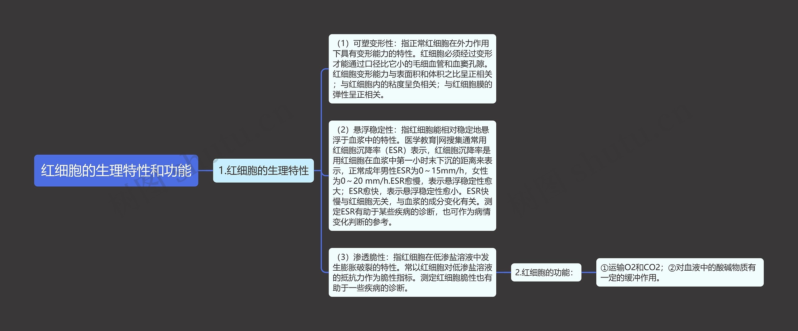 红细胞的生理特性和功能