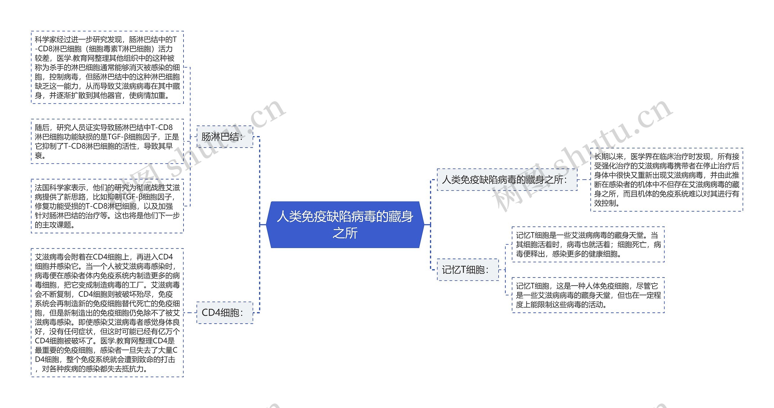 人类免疫缺陷病毒的藏身之所思维导图