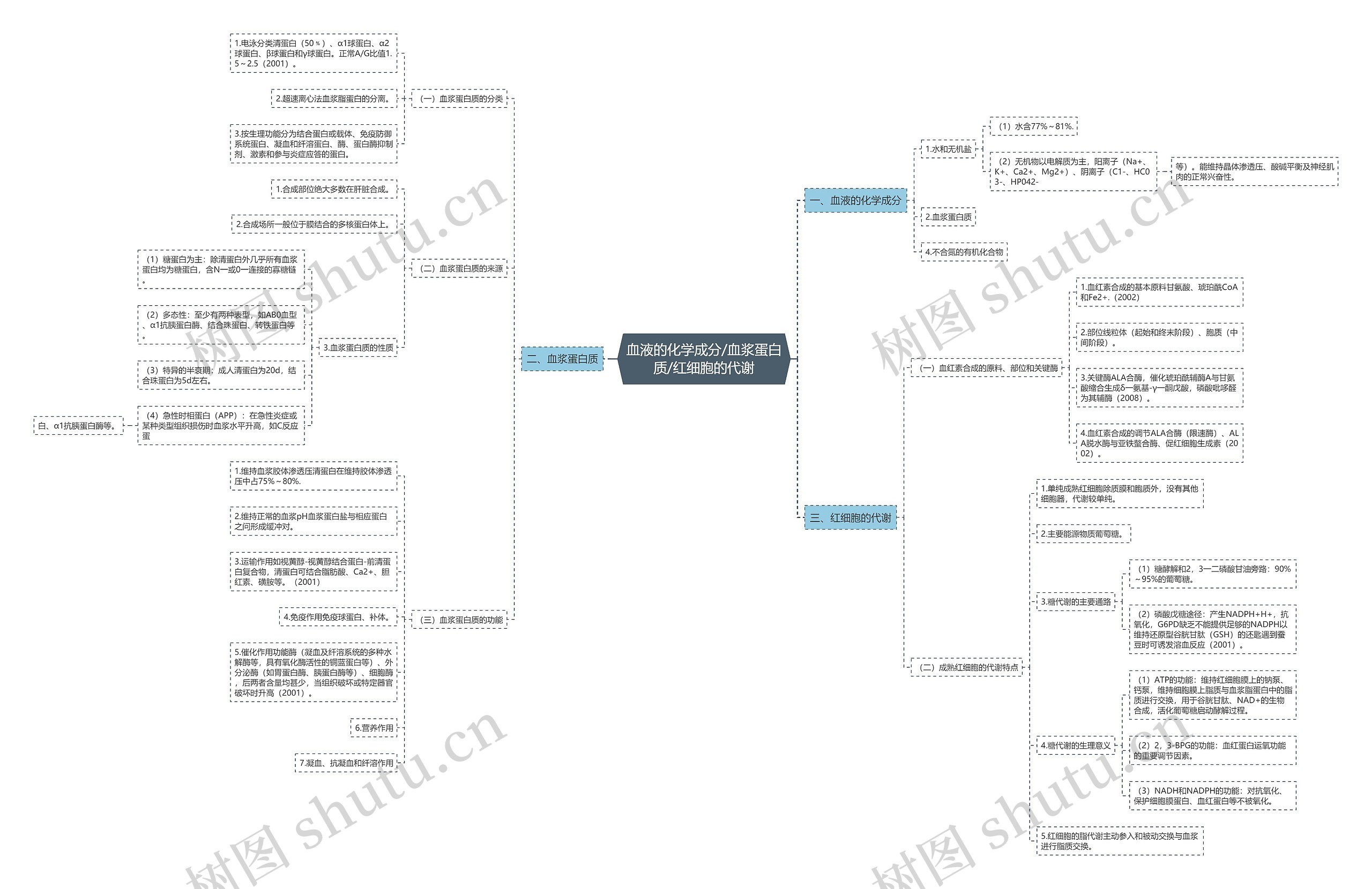 血液的化学成分/血浆蛋白质/红细胞的代谢