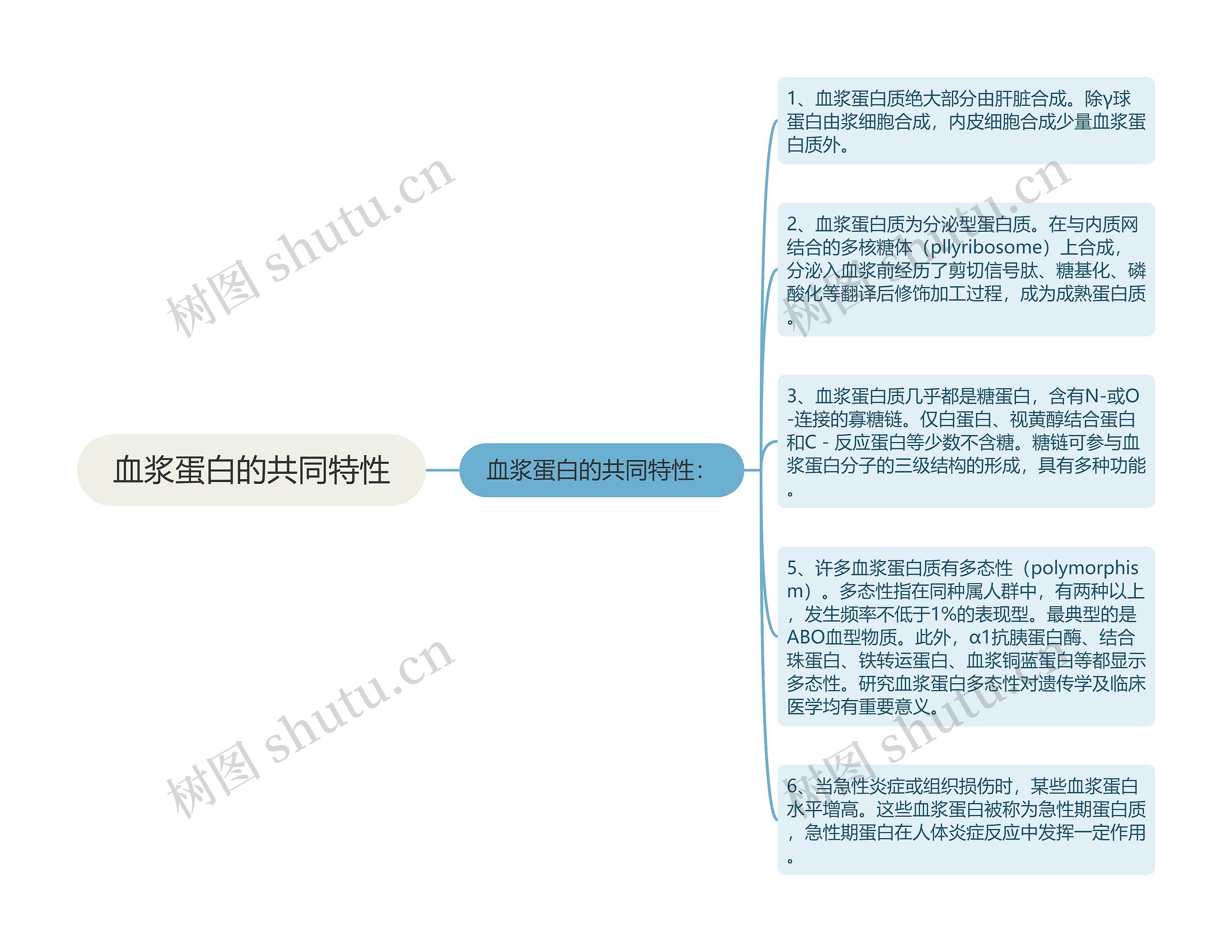 血浆蛋白的共同特性思维导图