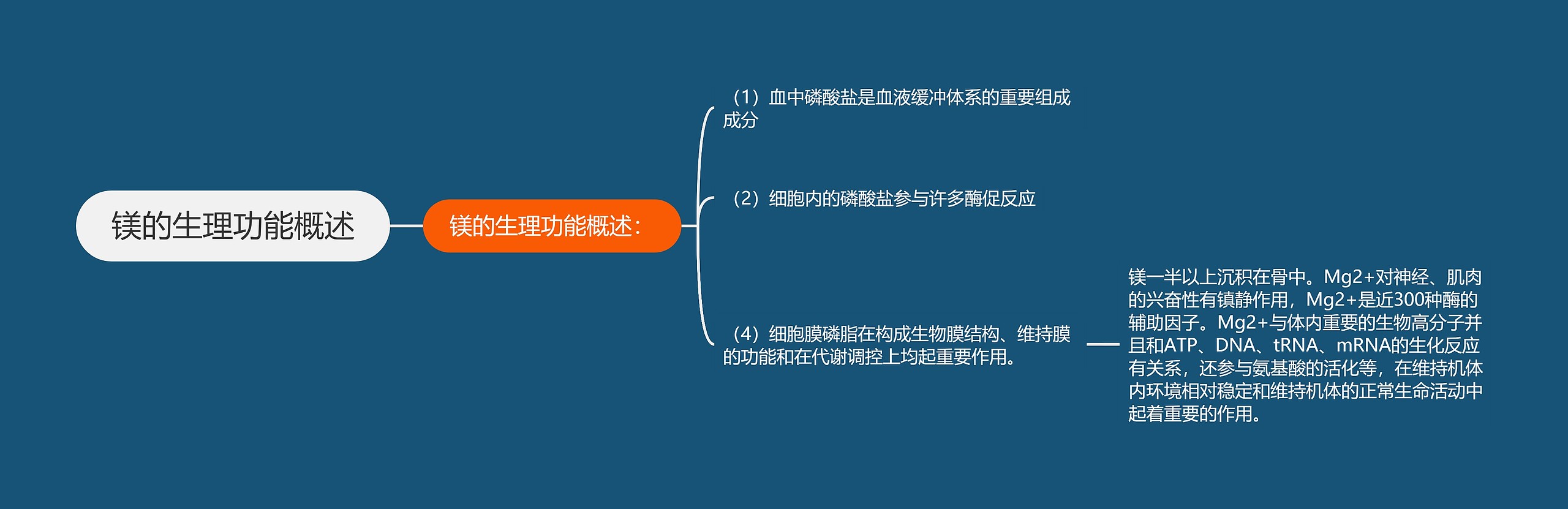 镁的生理功能概述 镁的生理功能概述