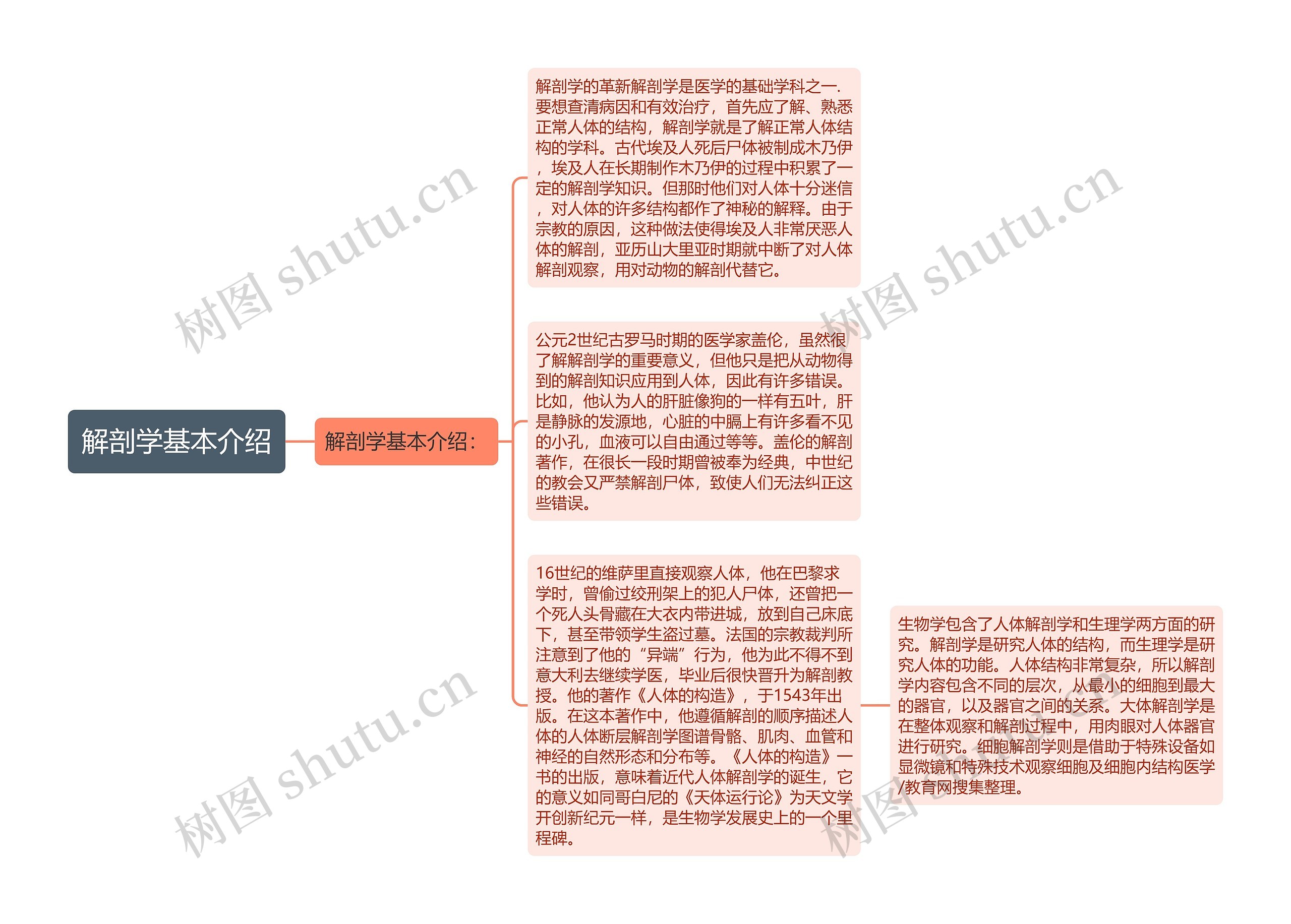 解剖学基本介绍思维导图