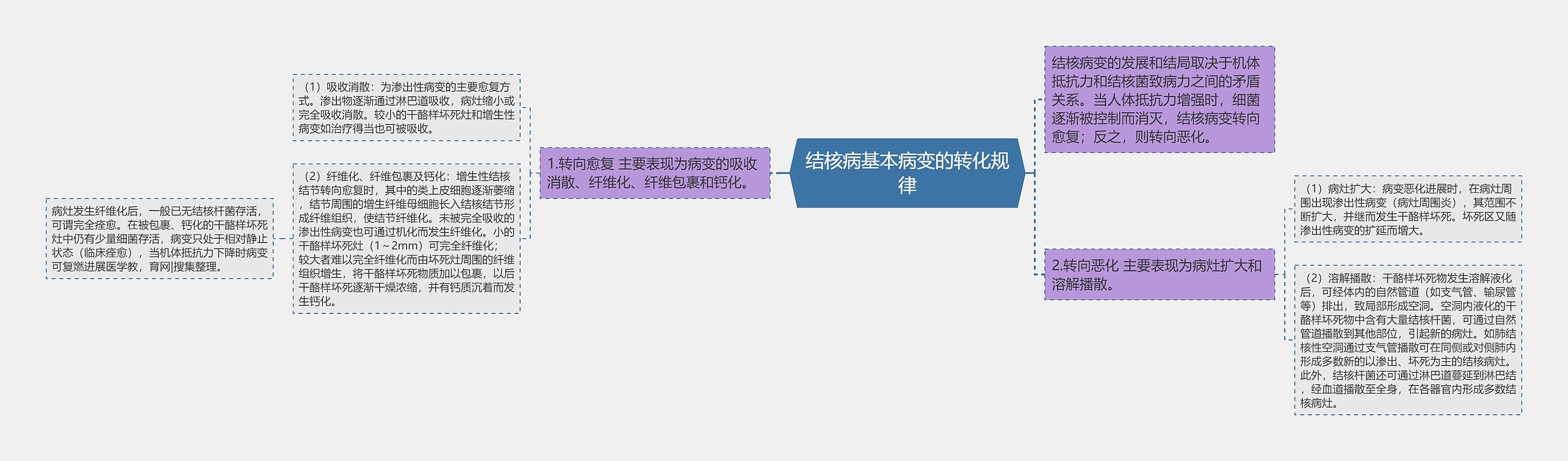 结核病基本病变的转化规律思维导图