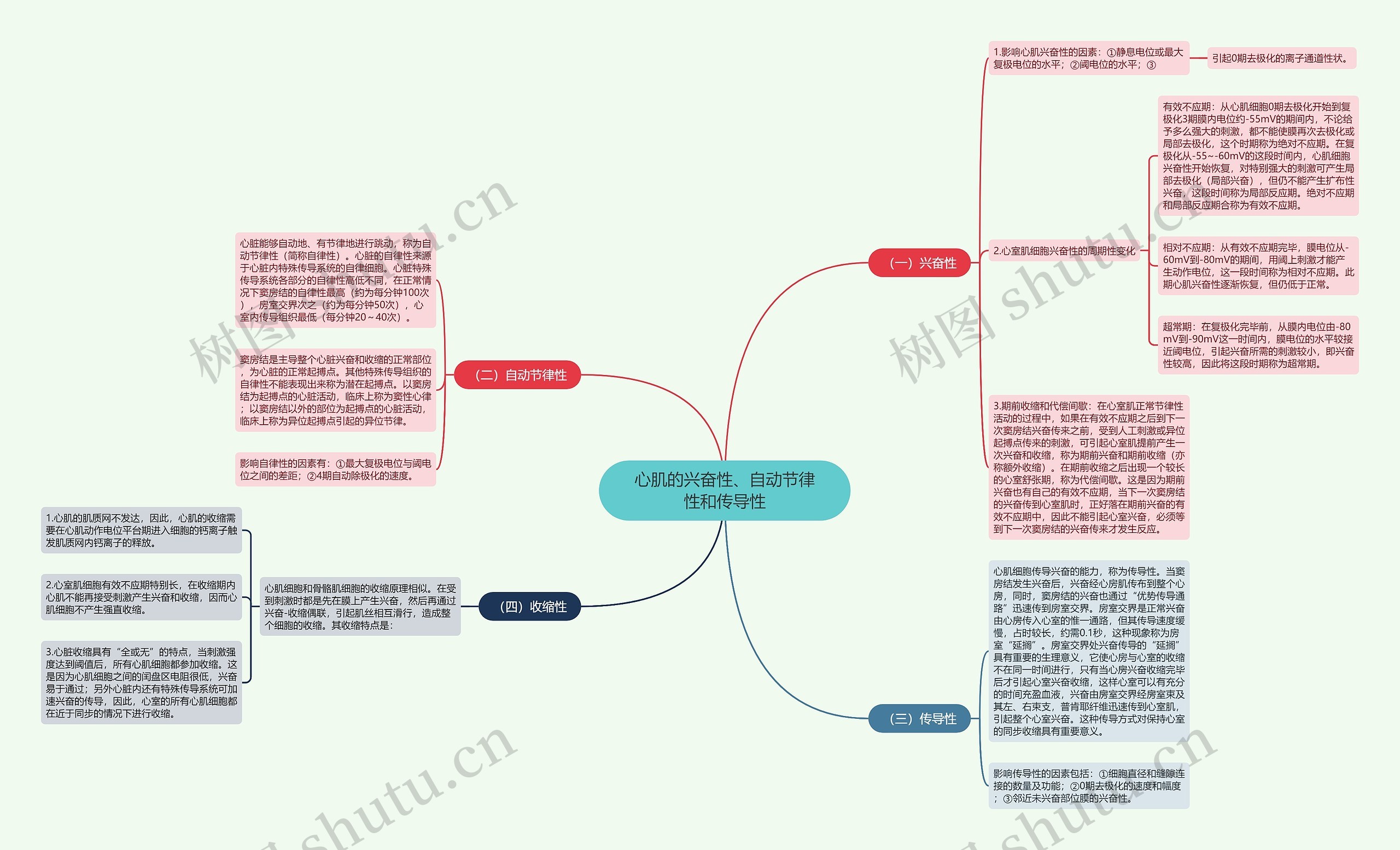 心肌的兴奋性、自动节律性和传导性思维导图