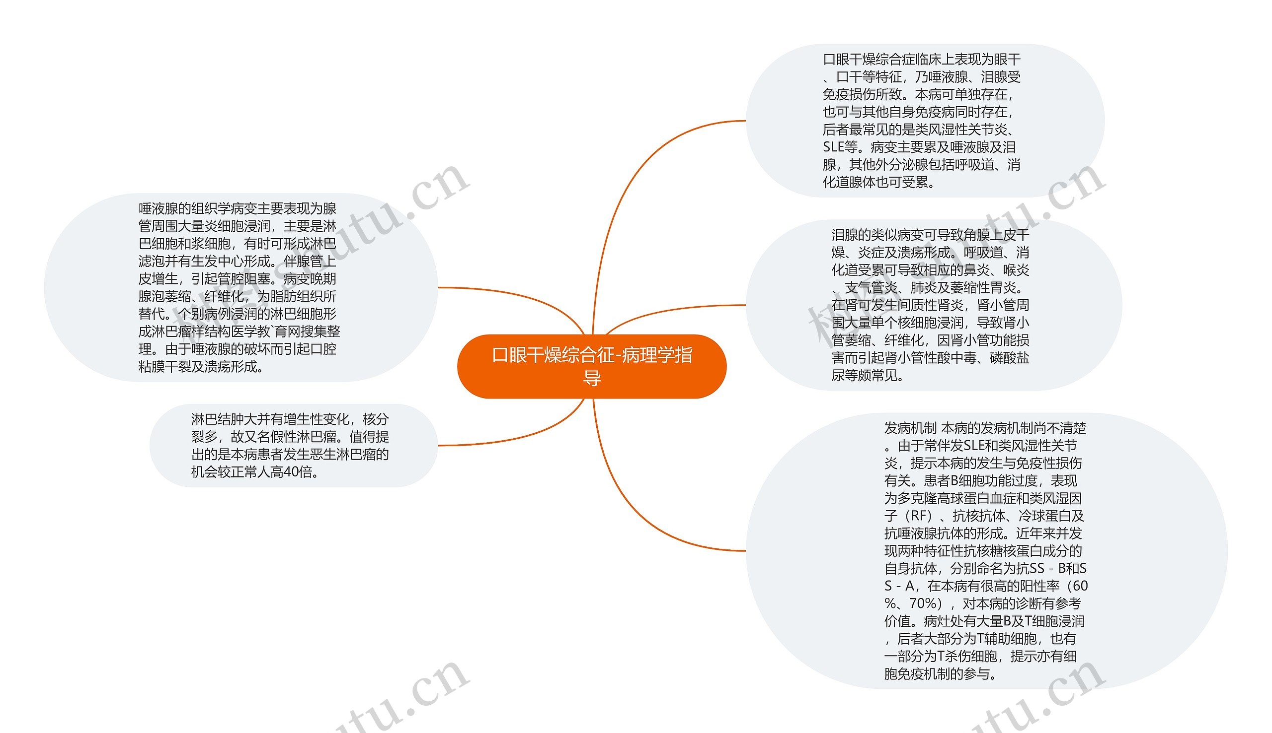 口眼干燥综合征-病理学指导思维导图