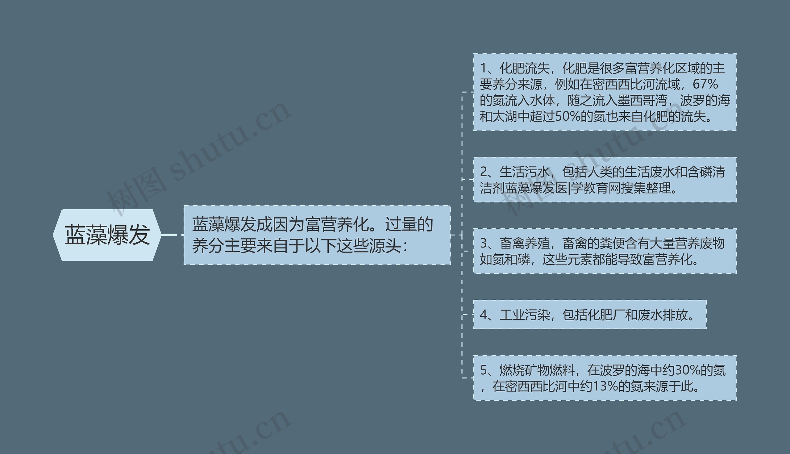 蓝藻爆发 蓝藻爆发