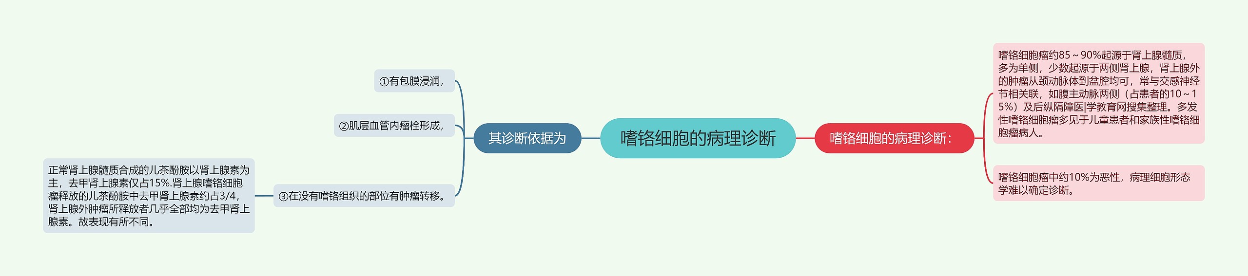 嗜铬细胞的病理诊断