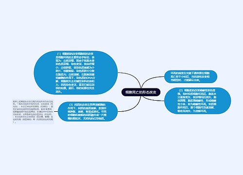 细胞死亡的形态改变