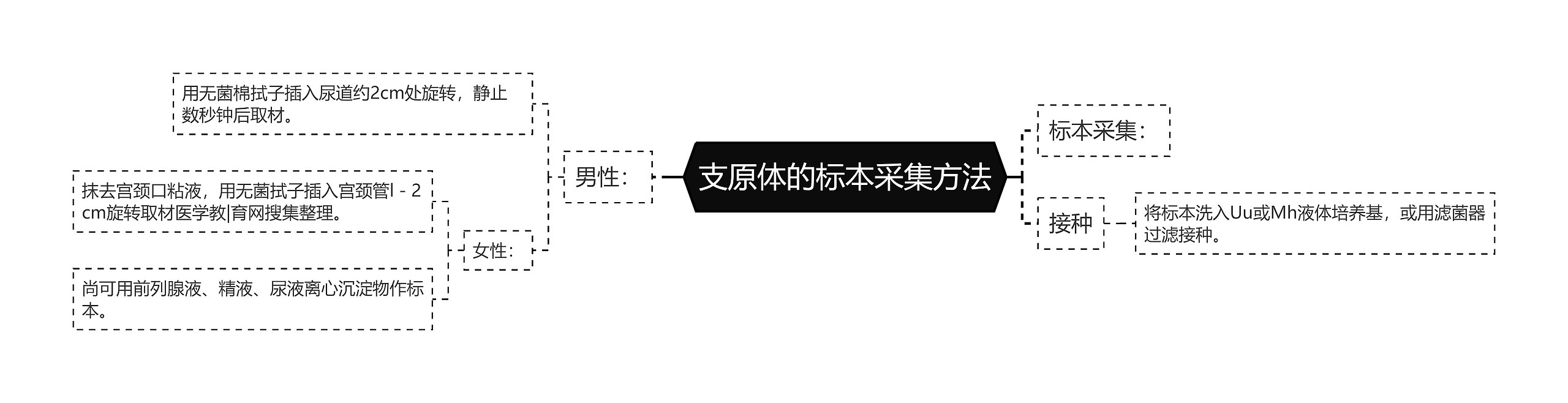 支原体的标本采集方法思维导图