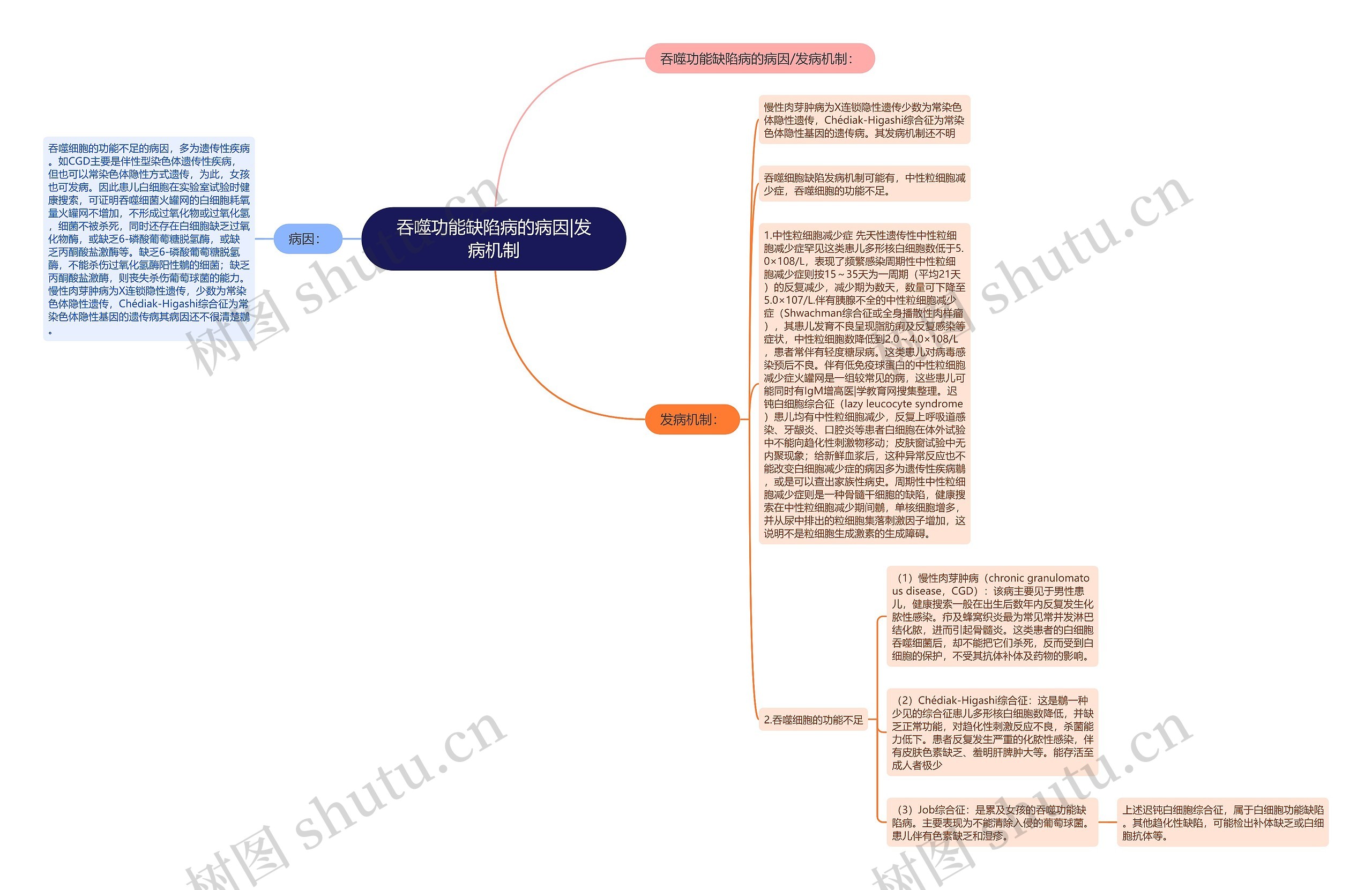 吞噬功能缺陷病的病因|发病机制思维导图