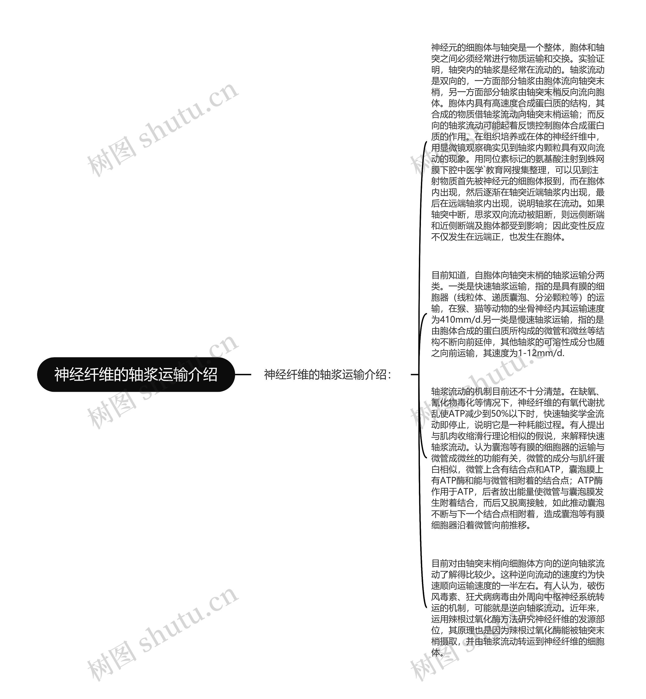 神经纤维的轴浆运输介绍思维导图