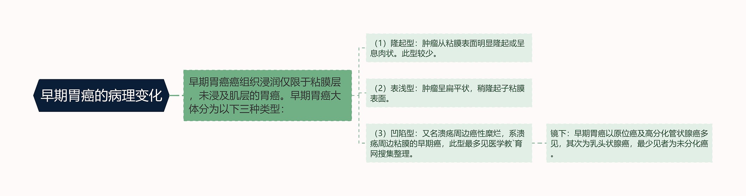 早期胃癌的病理变化 早期胃癌的病理变化
