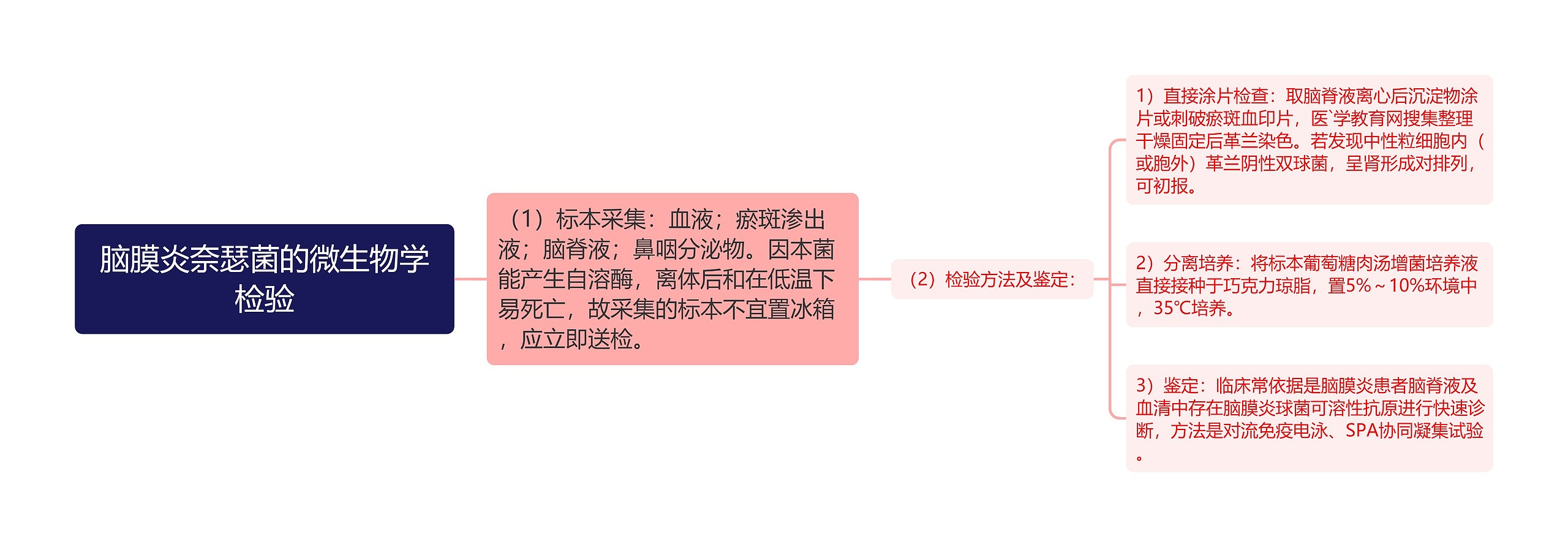 脑膜炎奈瑟菌的微生物学检验 脑膜炎奈瑟菌的微生物学检验