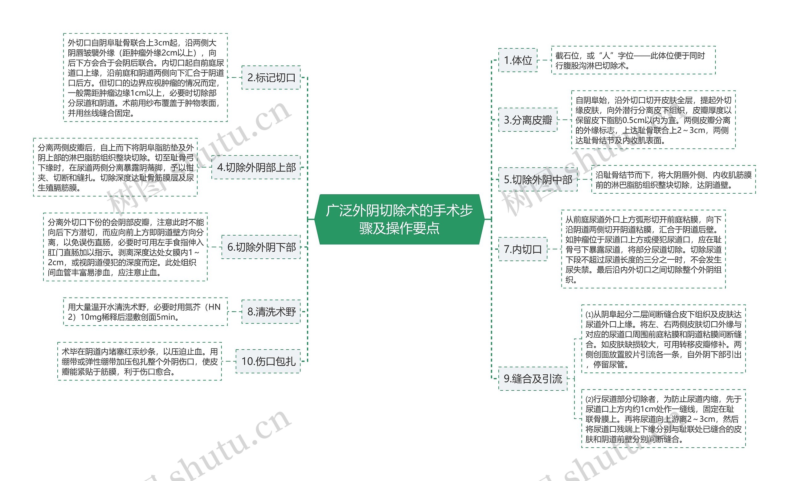 广泛外阴切除术的手术步骤及操作要点