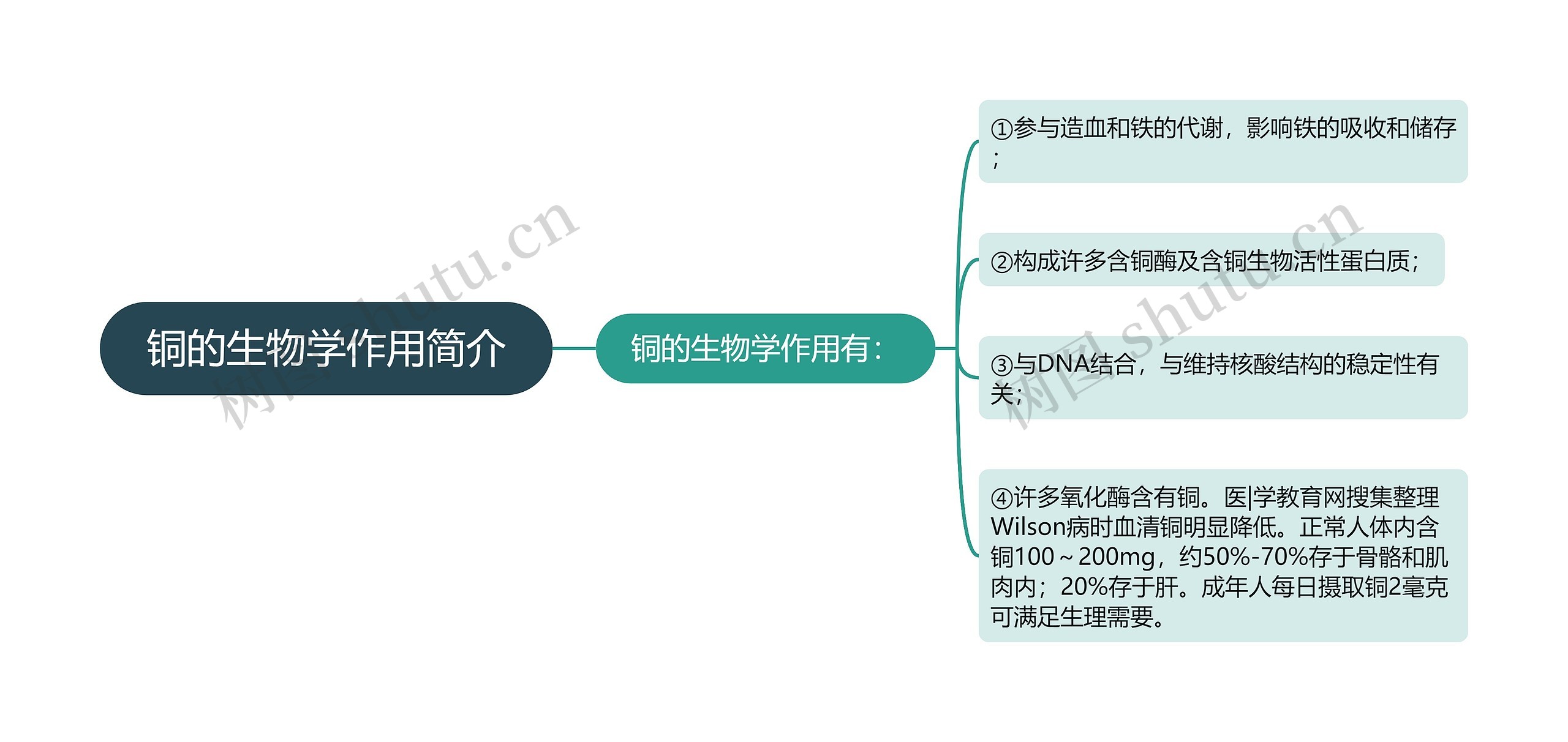 铜的生物学作用简介思维导图