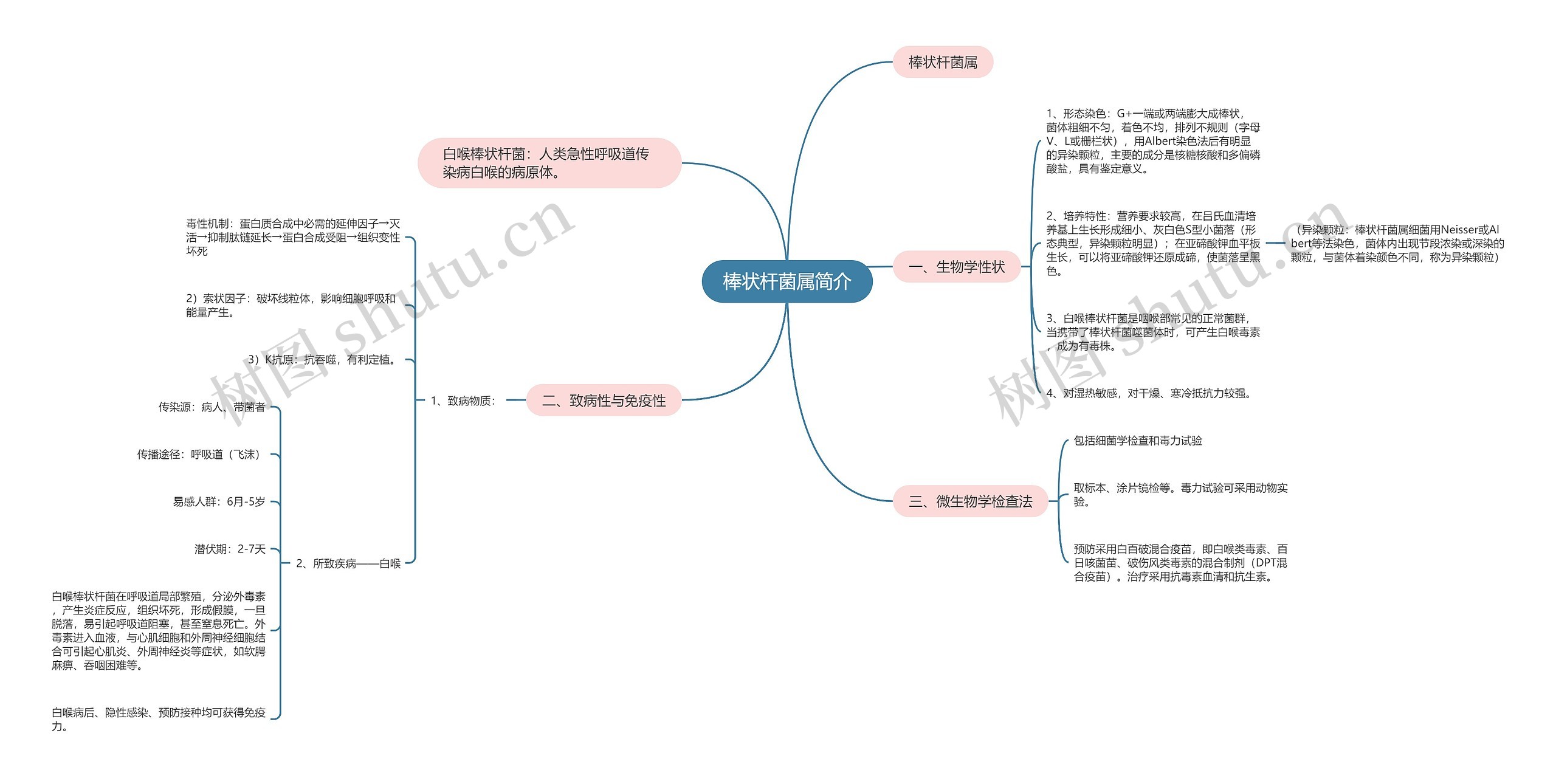 棒状杆菌属简介思维导图