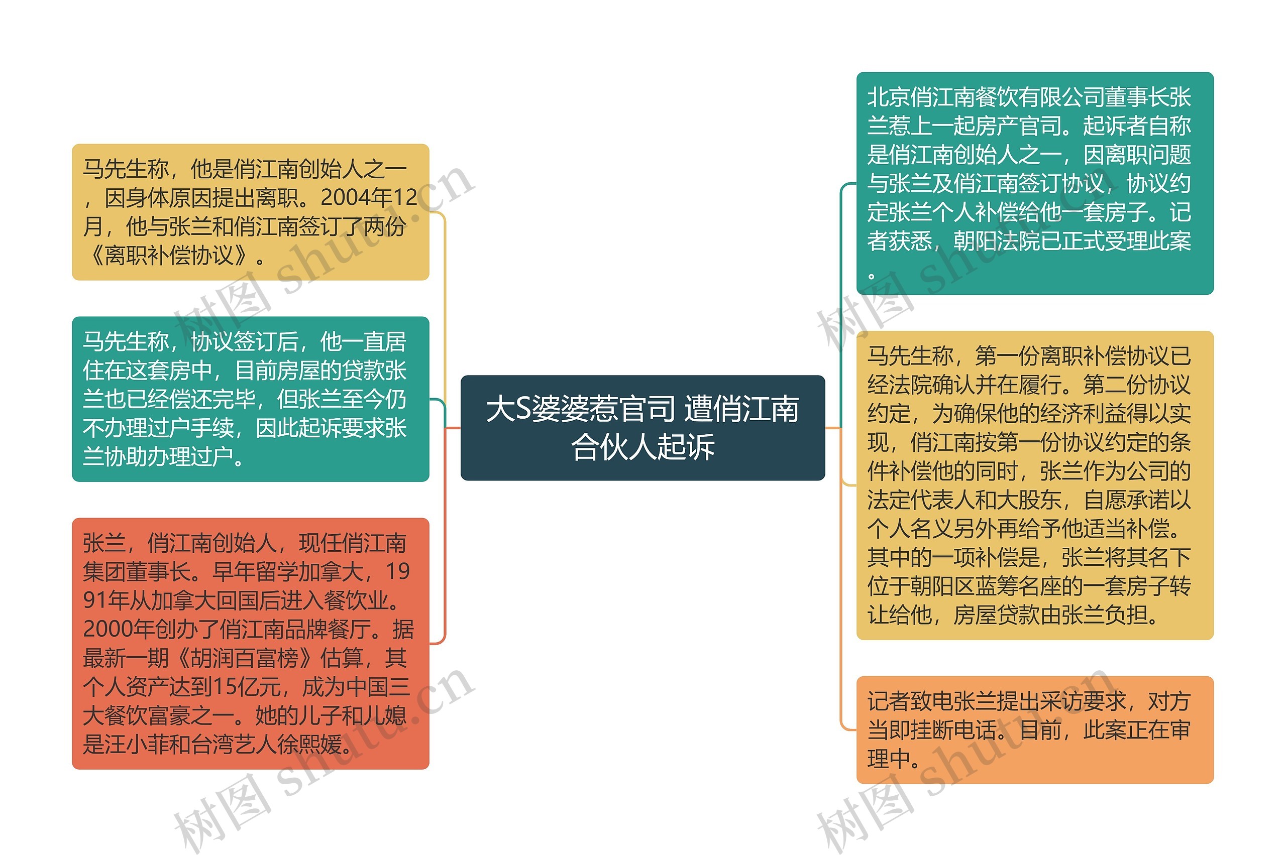 大S婆婆惹官司 遭俏江南合伙人起诉思维导图