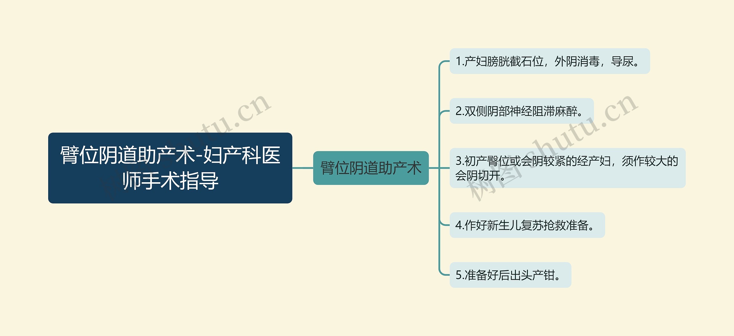 臂位阴道助产术-妇产科医师手术指导 臂位阴道助产术-妇产科医师手术指导