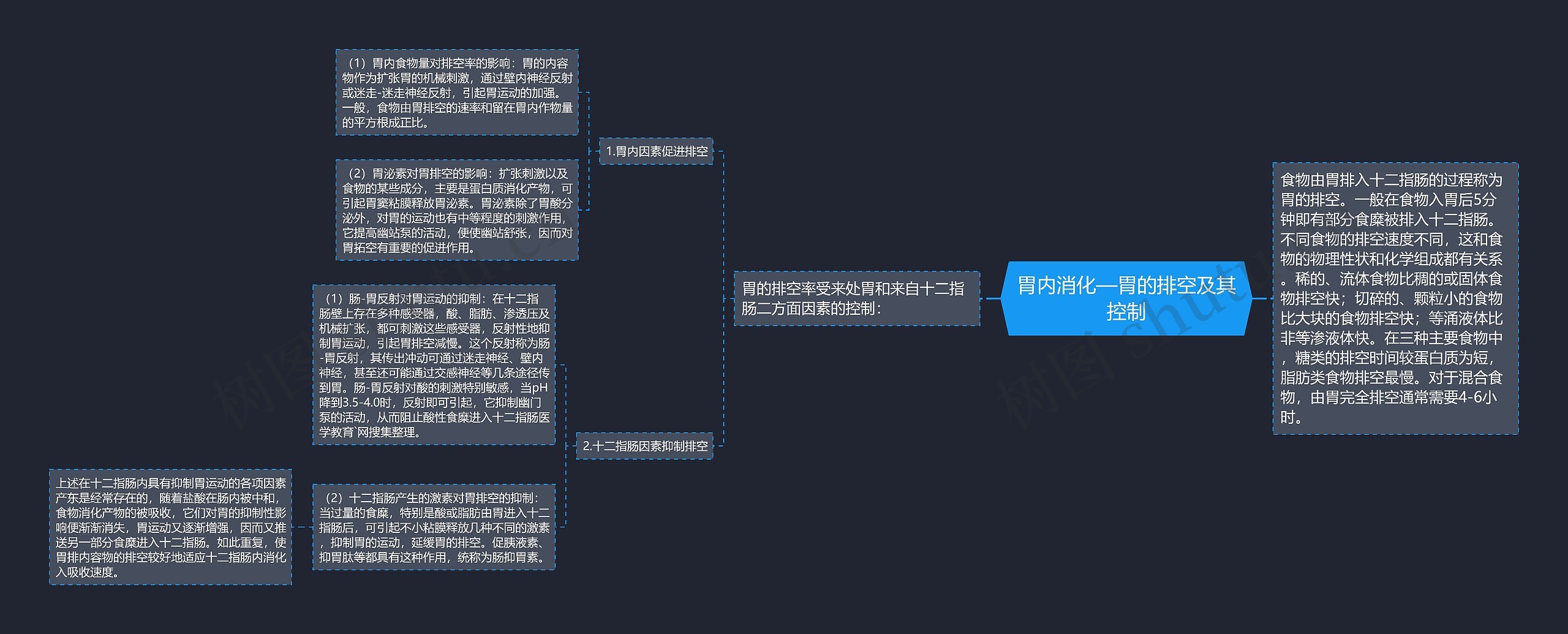 胃内消化—胃的排空及其控制