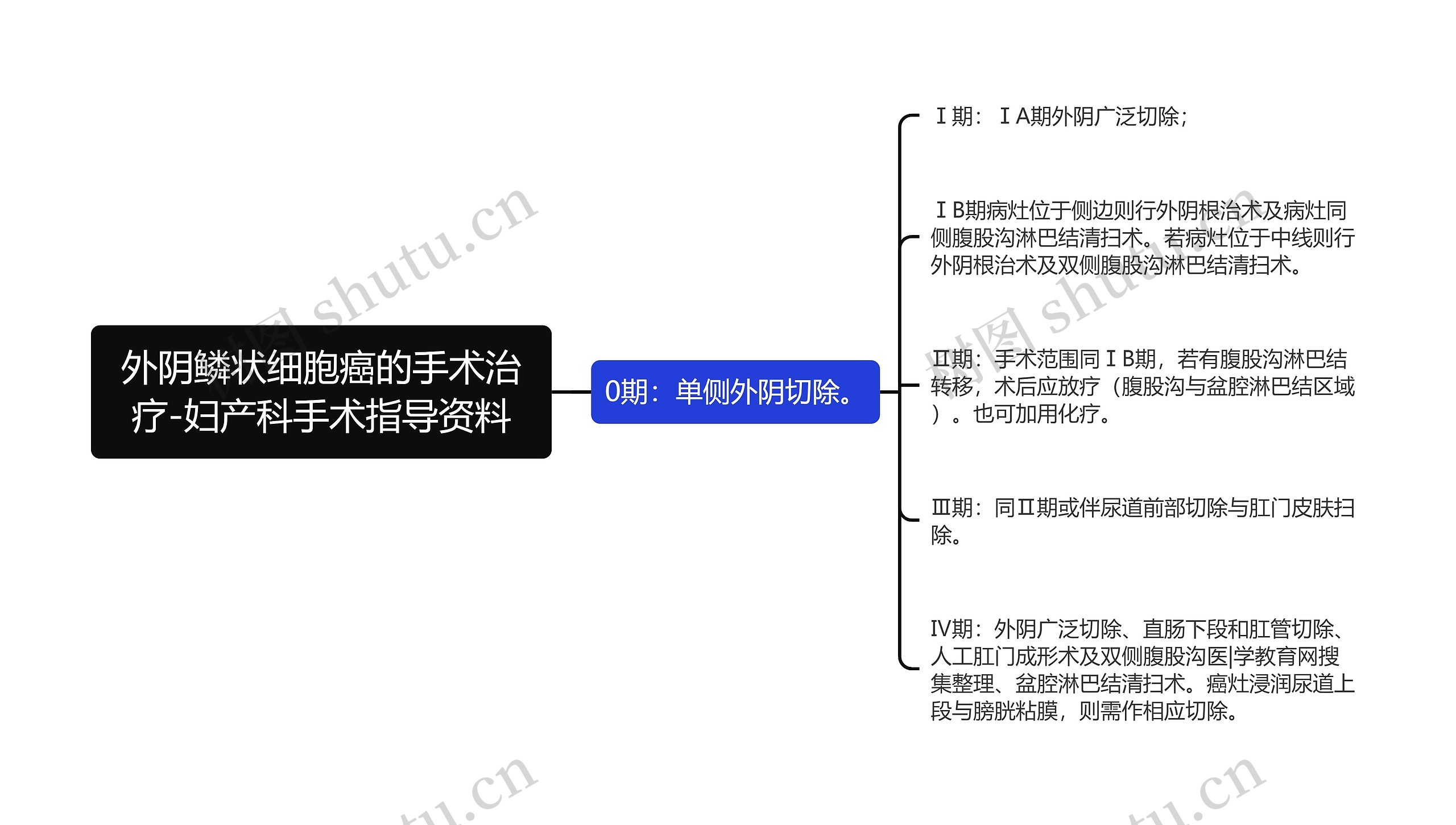 外阴鳞状细胞癌的手术治疗-妇产科手术指导资料思维导图