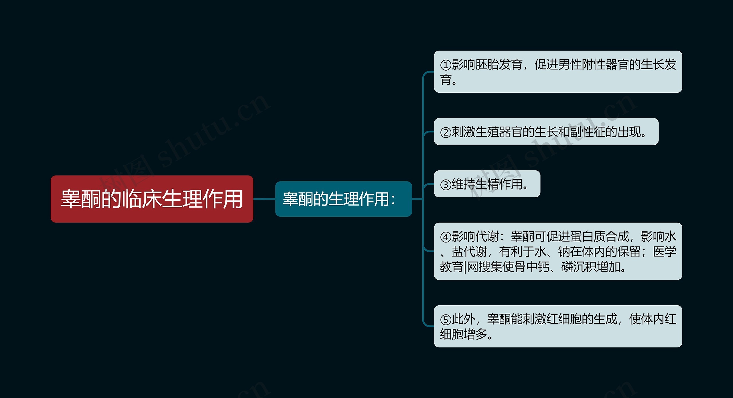 睾酮的临床生理作用