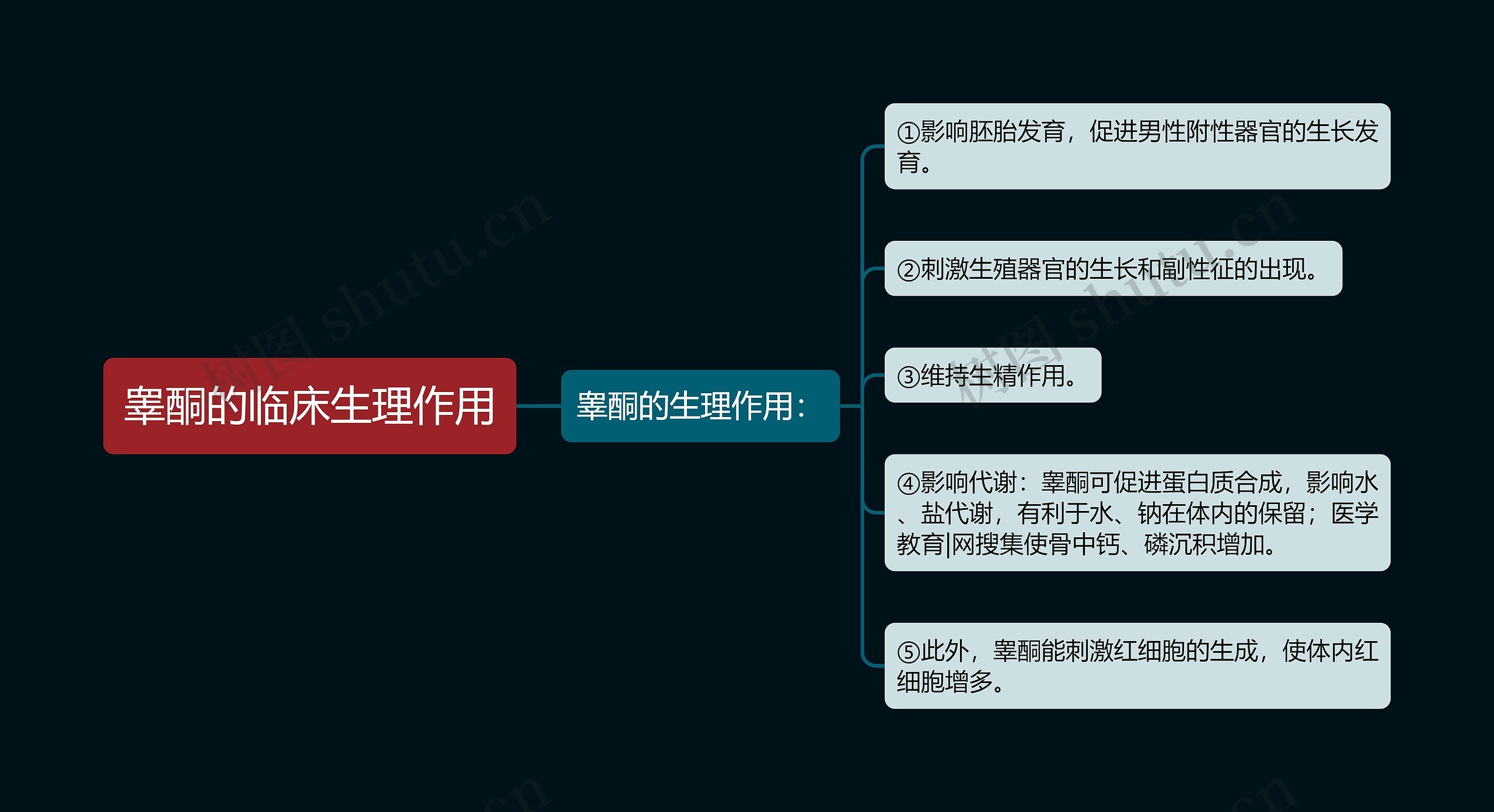 睾酮的临床生理作用思维导图