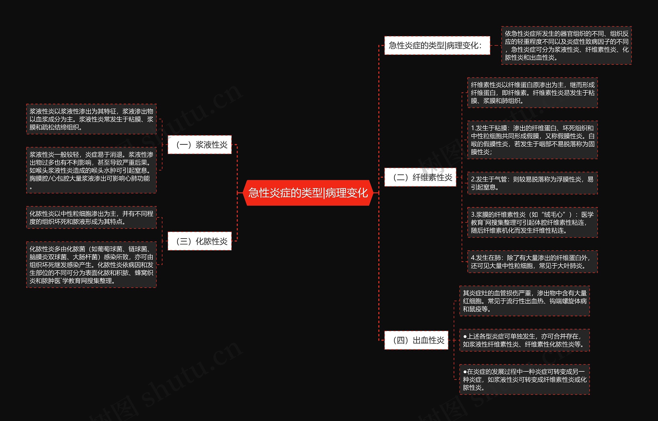 急性炎症的类型|病理变化思维导图