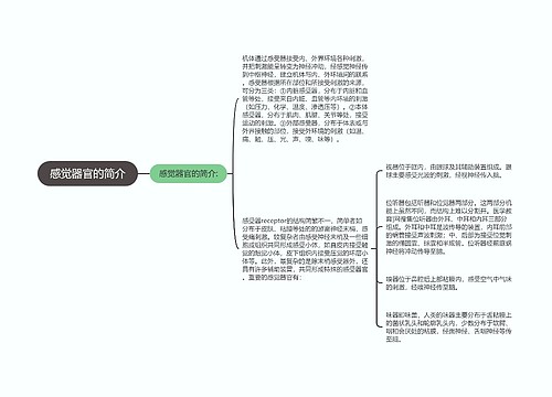 感觉器官的简介