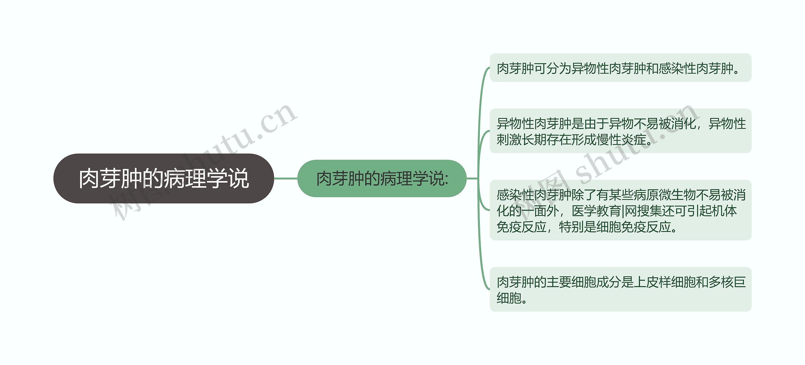 肉芽肿的病理学说