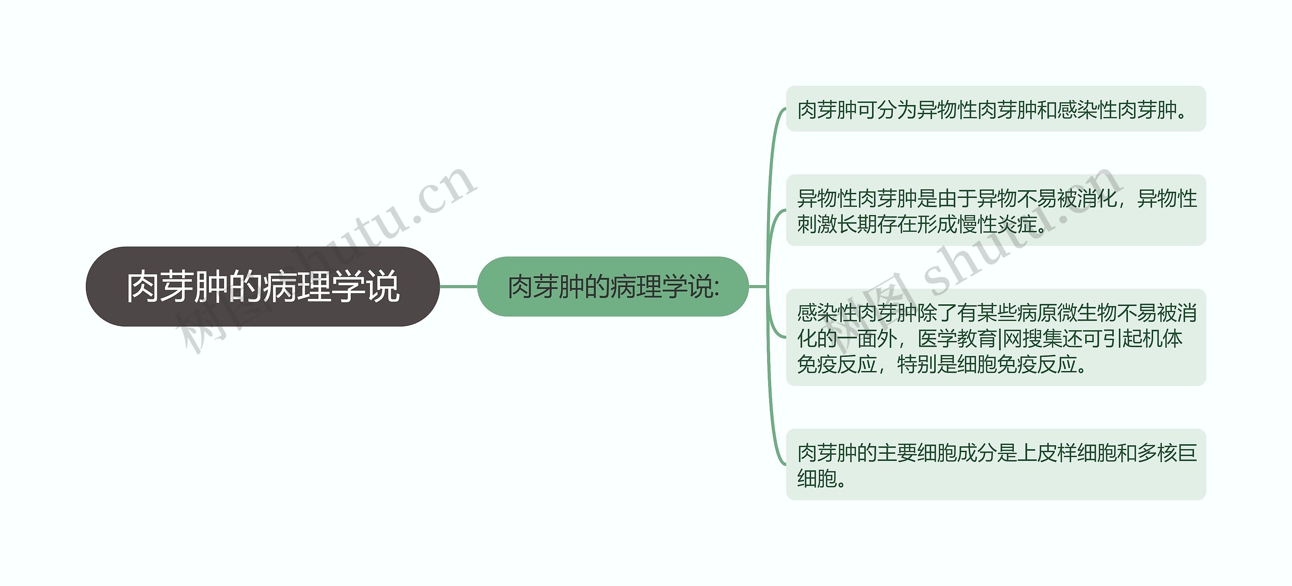 肉芽肿的病理学说思维导图