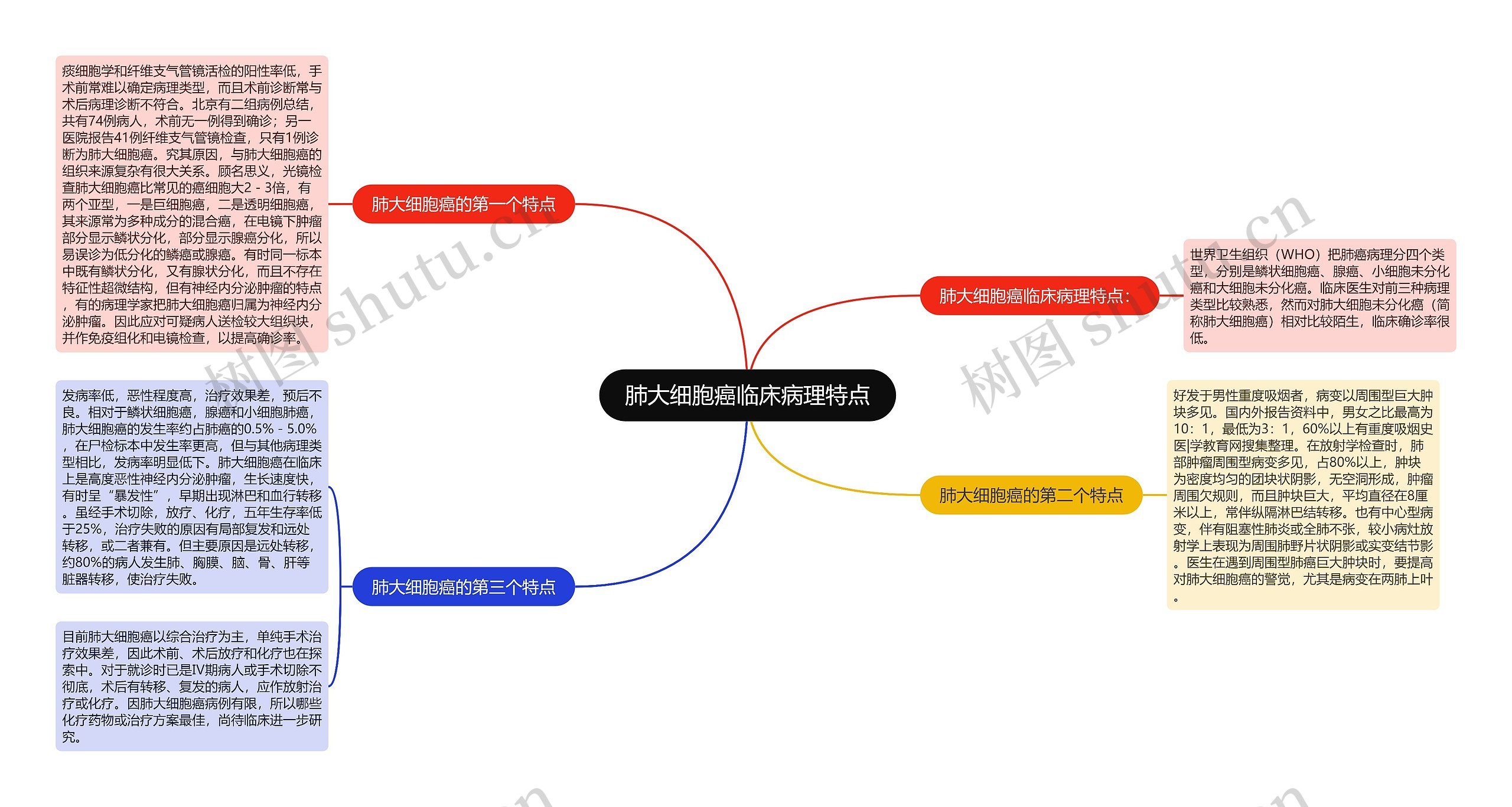 肺大细胞癌临床病理特点