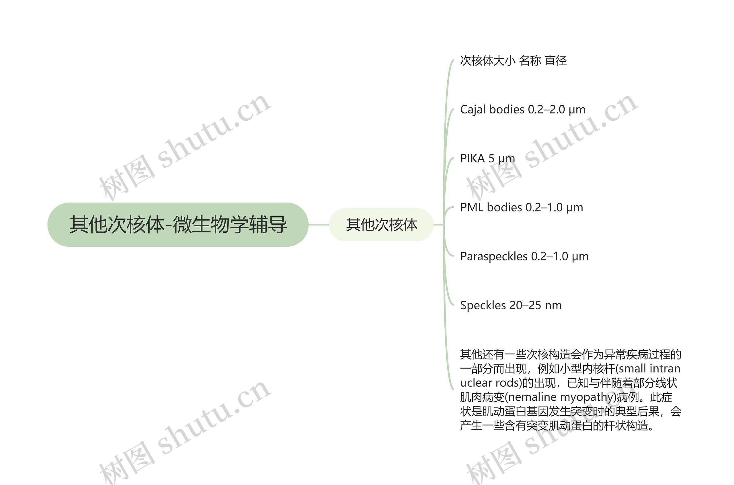 其他次核体-微生物学辅导