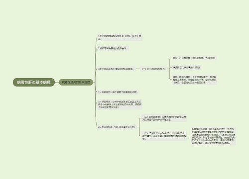 病毒性肝炎基本病理