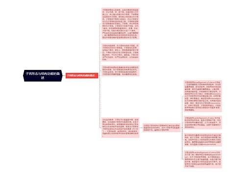 子宫形态与结构功能的简述