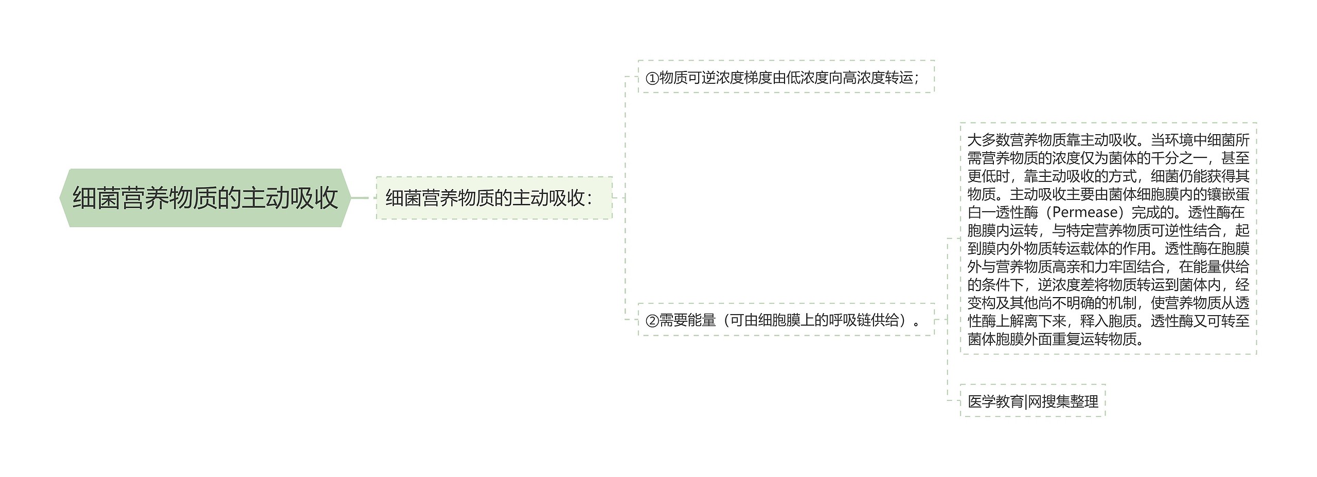 细菌营养物质的主动吸收 细菌营养物质的主动吸收