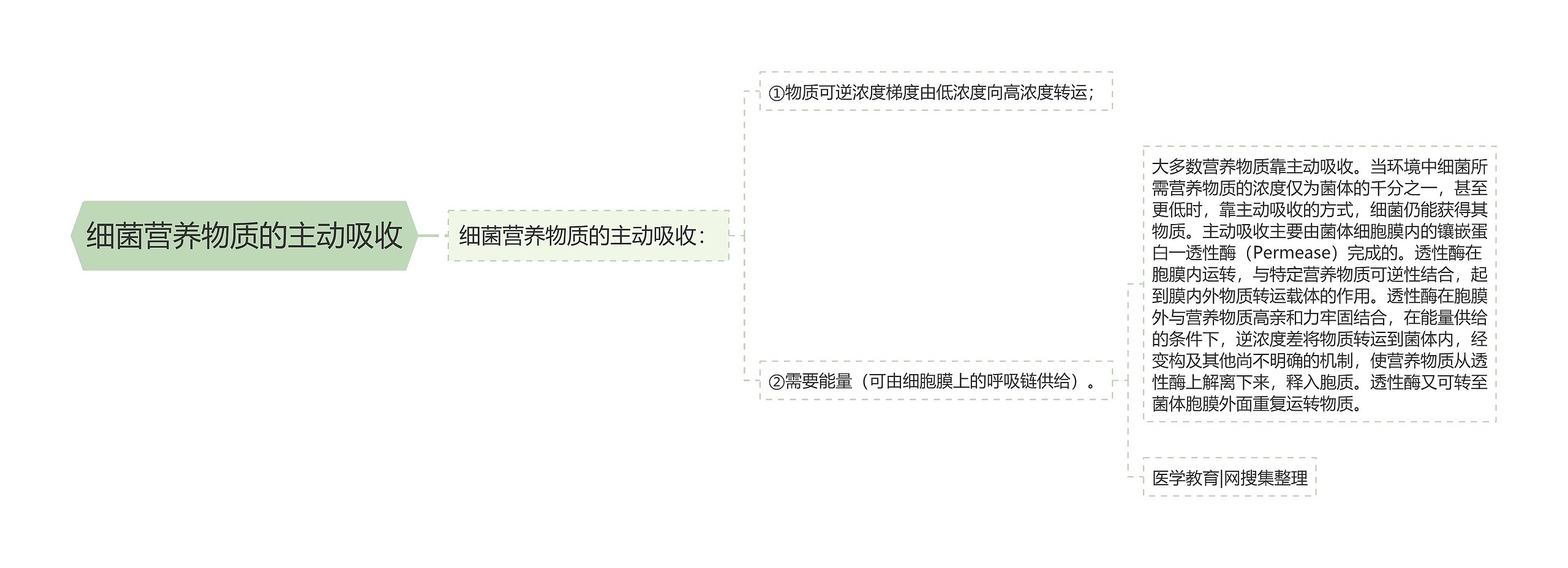 细菌营养物质的主动吸收思维导图