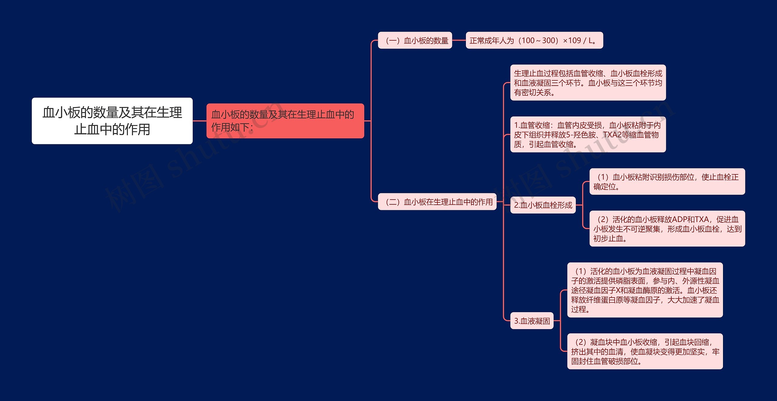 血小板的数量及其在生理止血中的作用思维导图