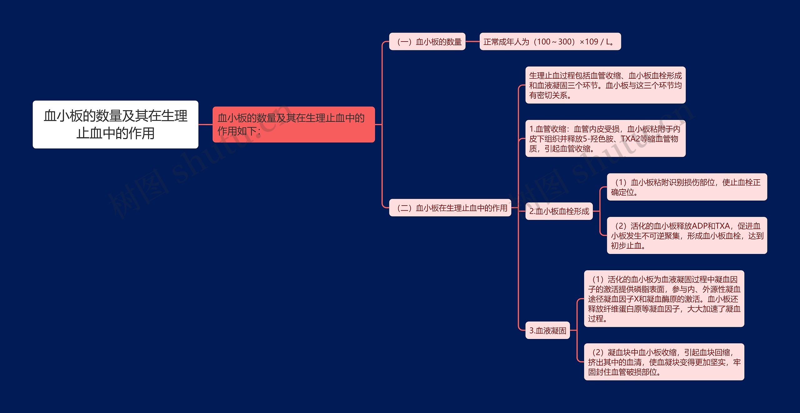血小板的数量及其在生理止血中的作用 血小板的数量及其在生理止血中的作用