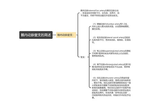 髂内动脉壁支的简述