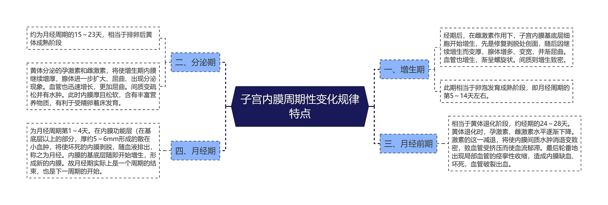 子宫内膜周期性变化规律特点思维导图