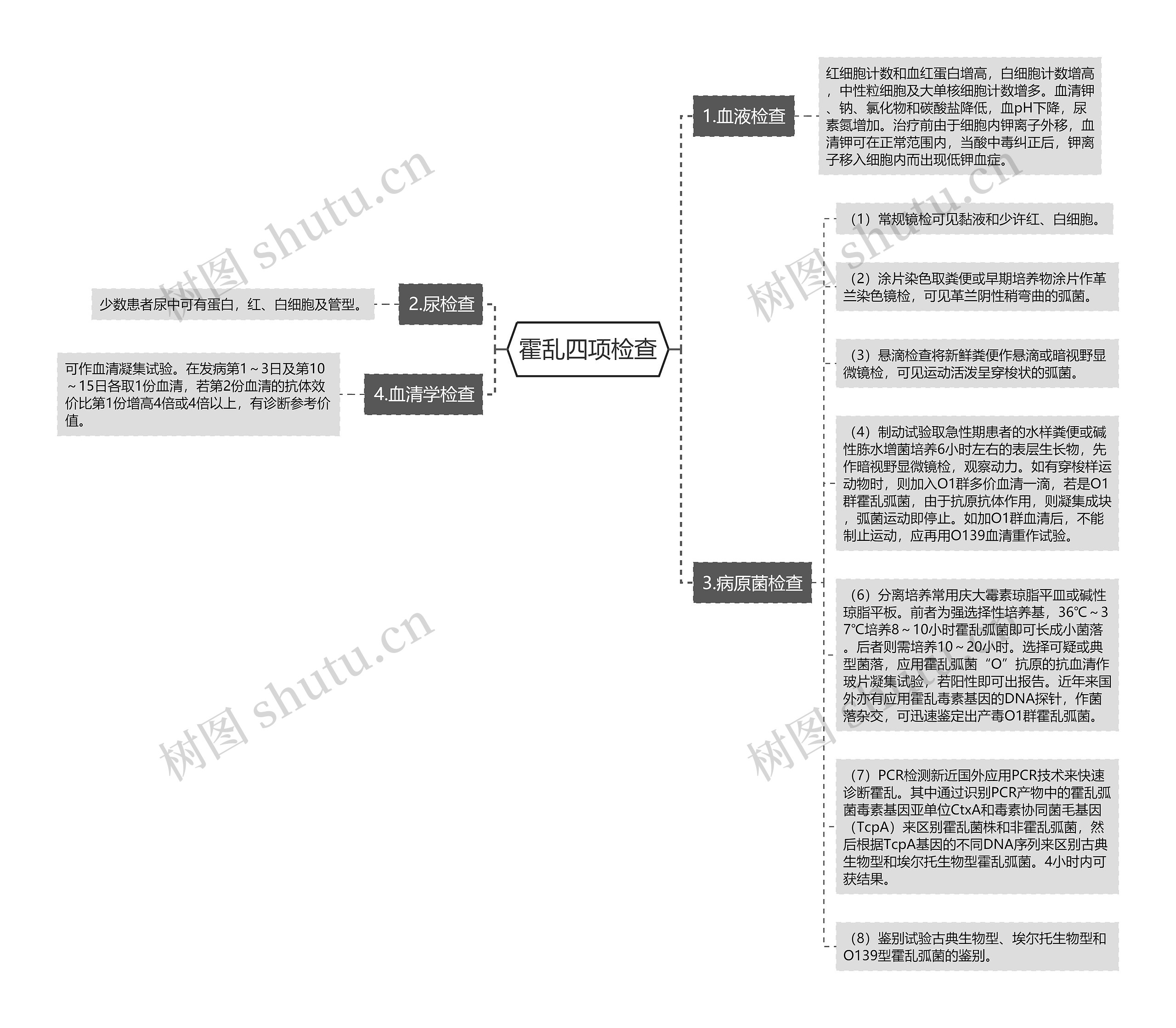 霍乱四项检查思维导图