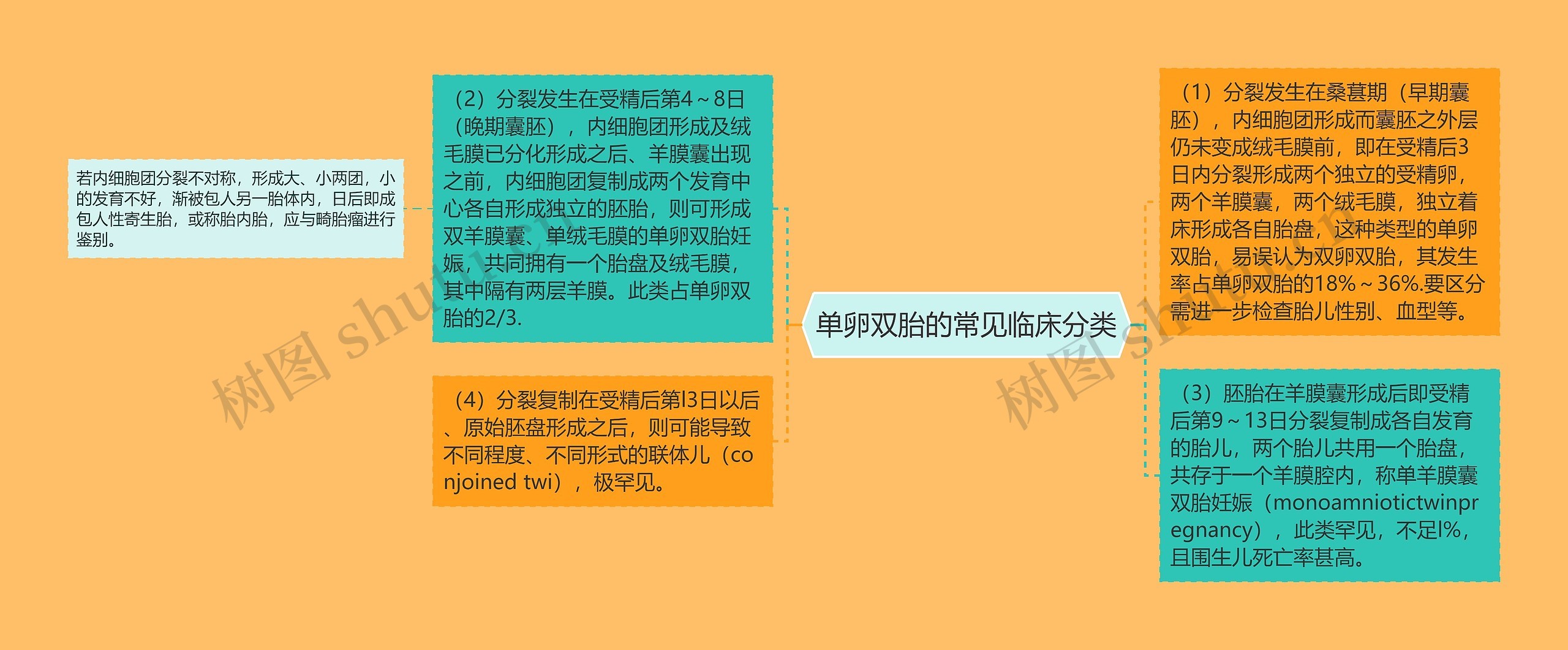 单卵双胎的常见临床分类思维导图