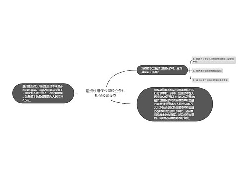 融资性担保公司设立条件担保公司设立