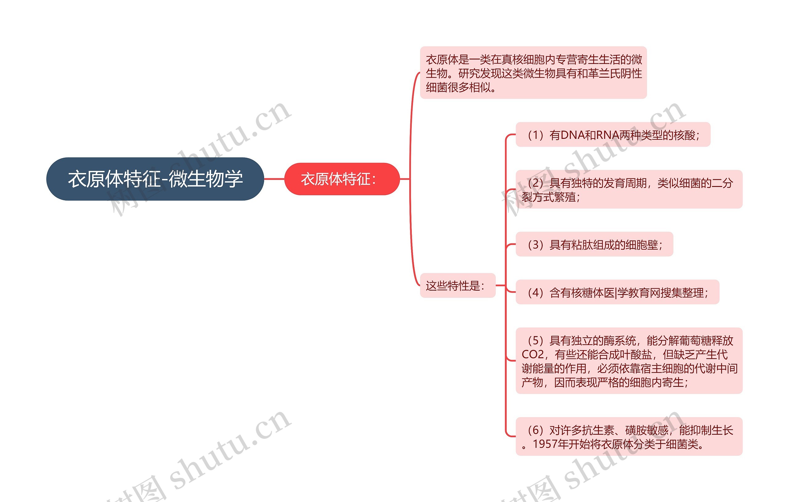 衣原体特征-微生物学思维导图