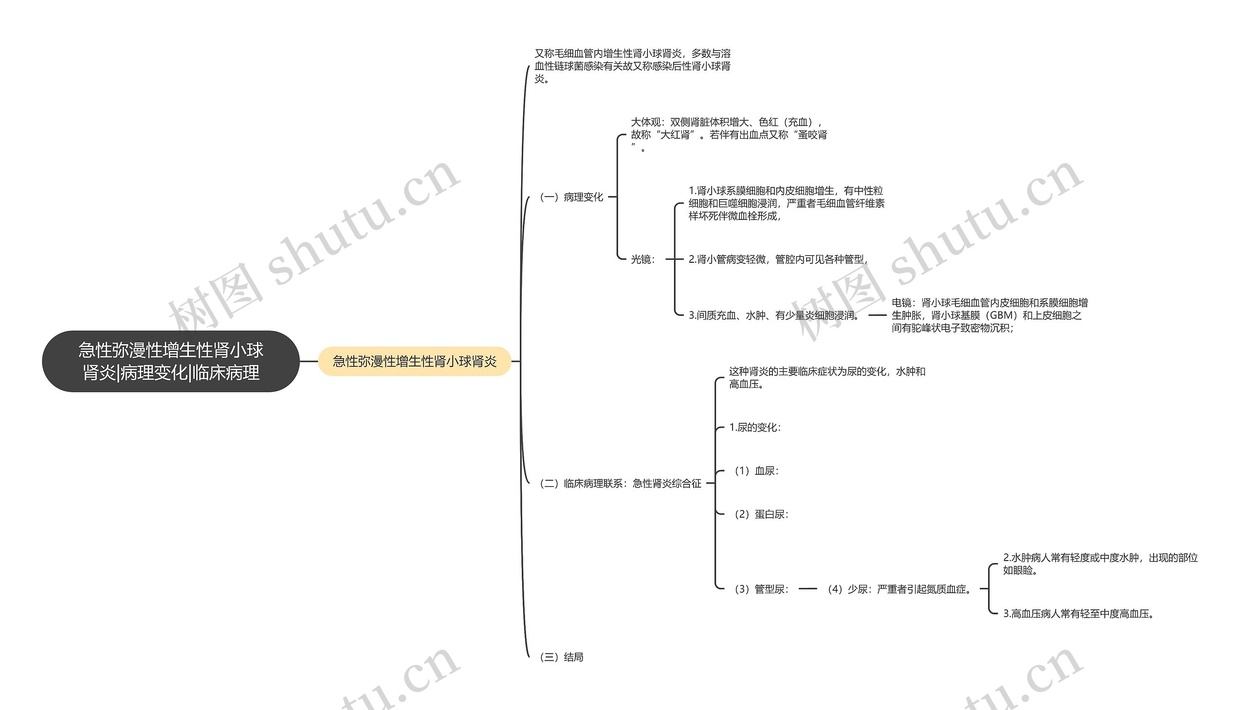 急性弥漫性增生性肾小球肾炎|病理变化|临床病理