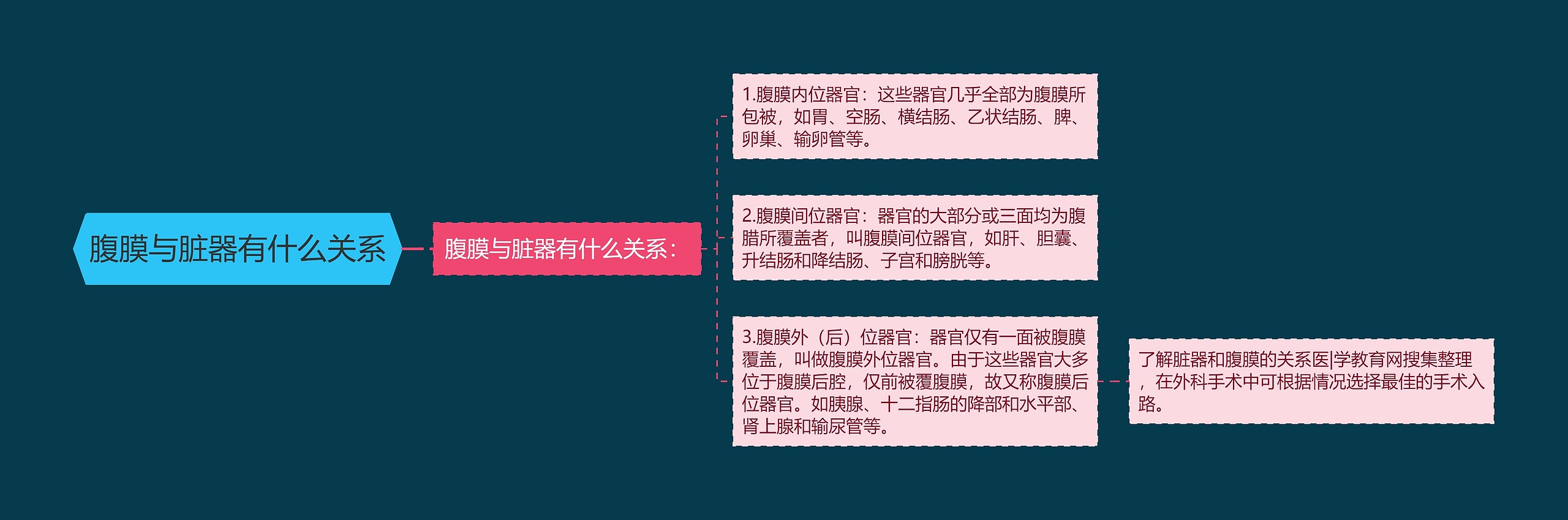 腹膜与脏器有什么关系 腹膜与脏器有什么关系