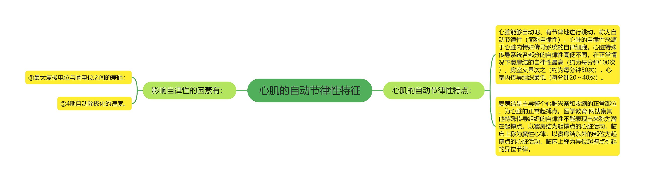 心肌的自动节律性特征 心肌的自动节律性特征