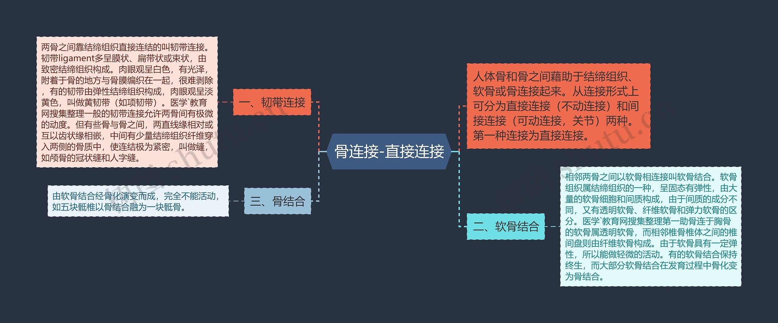 骨连接-直接连接思维导图