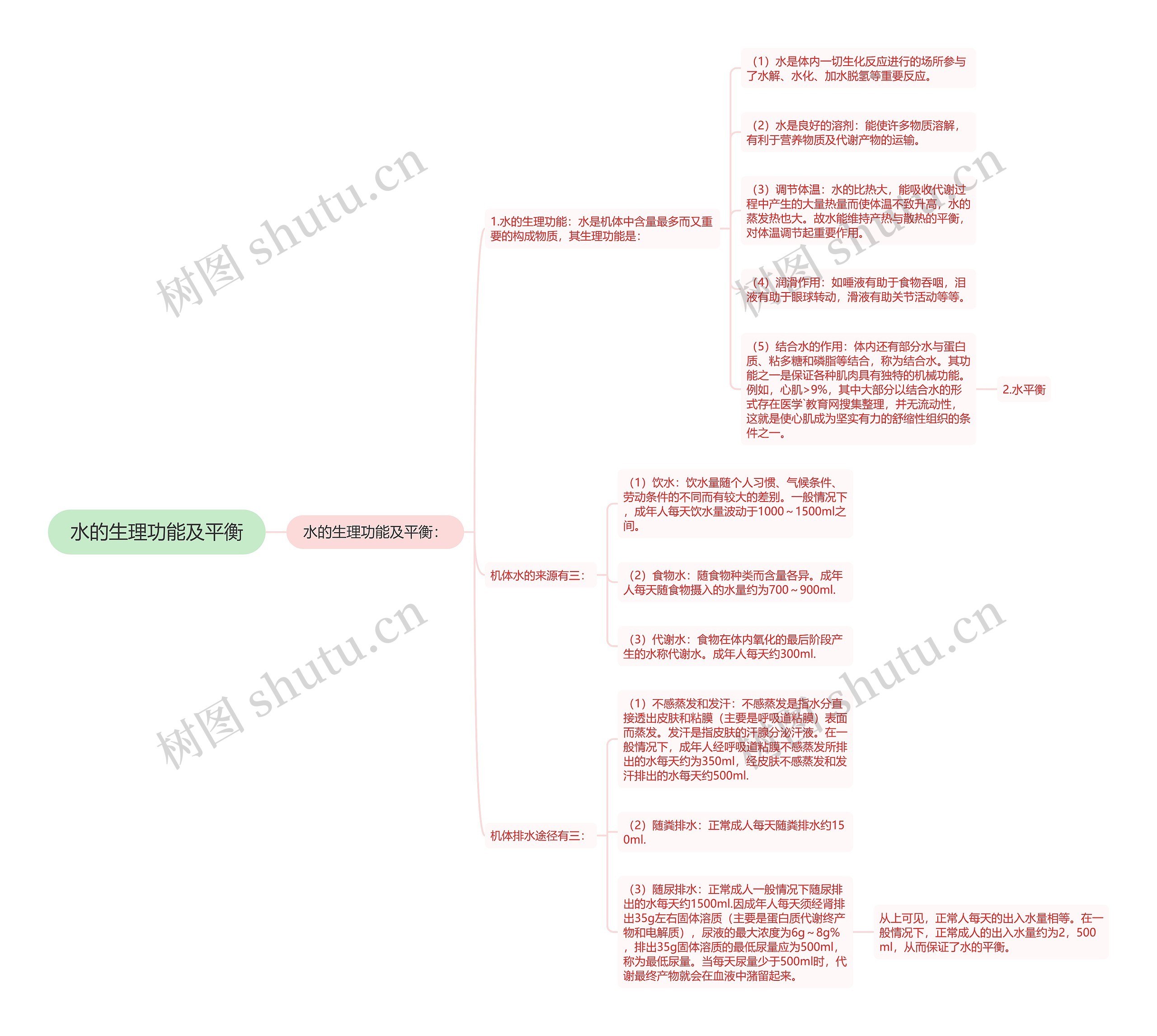水的生理功能及平衡 水的生理功能及平衡