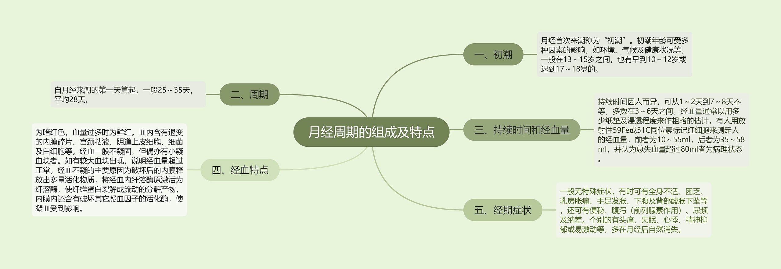 月经周期的组成及特点思维导图